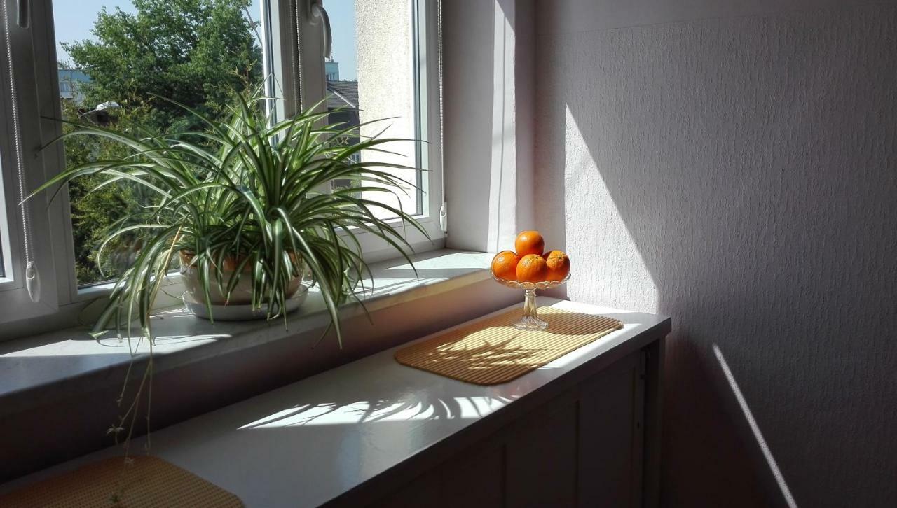 Studio Krakowski Styl Buitenkant foto